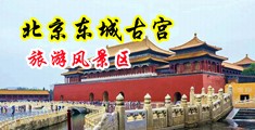 几把操小屄舒服吗中国北京-东城古宫旅游风景区